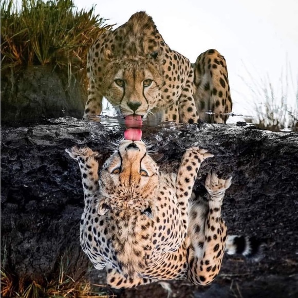 The world is so big. - Picture 5 of 12